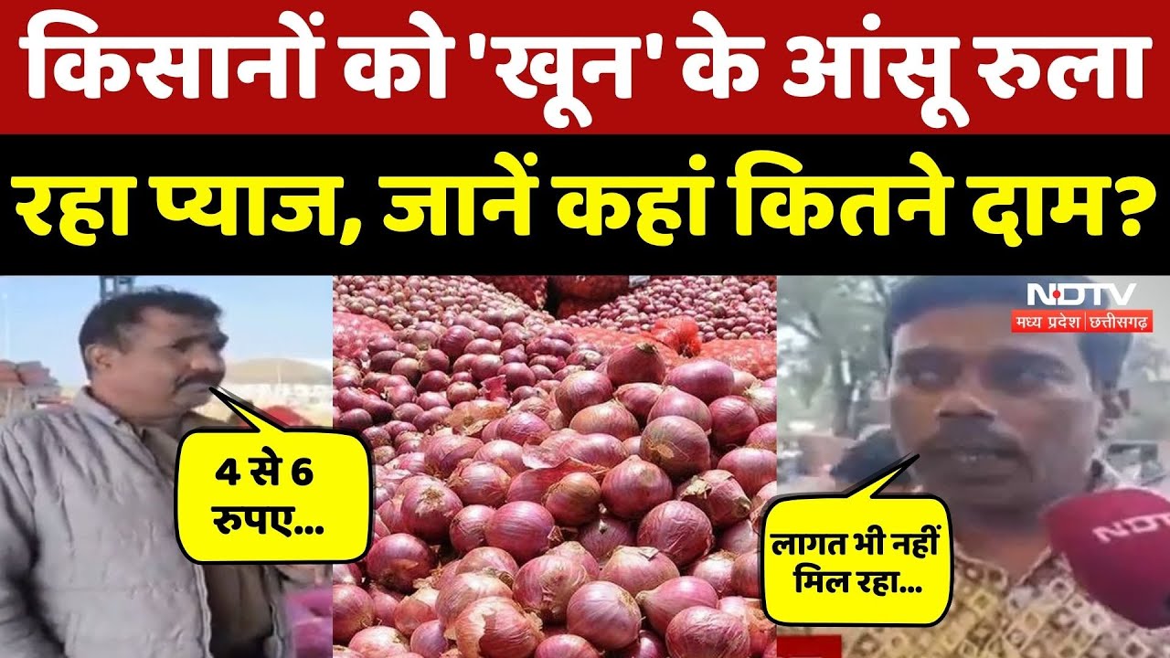 Onion Price: सड़क पर फेंक रहे प्याज, गिरते दामों पर क्या बोले किसान? Farmers News | NDTV MPCG