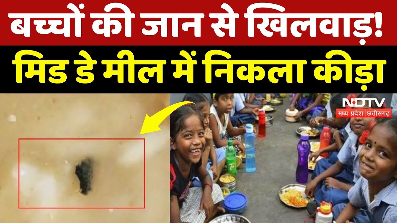 Mid Day Meal में निकला कीड़ा, बच्चों की जान के साख खिलवाड़, कौन जिम्मेदार! NDTV MPCG | Top News