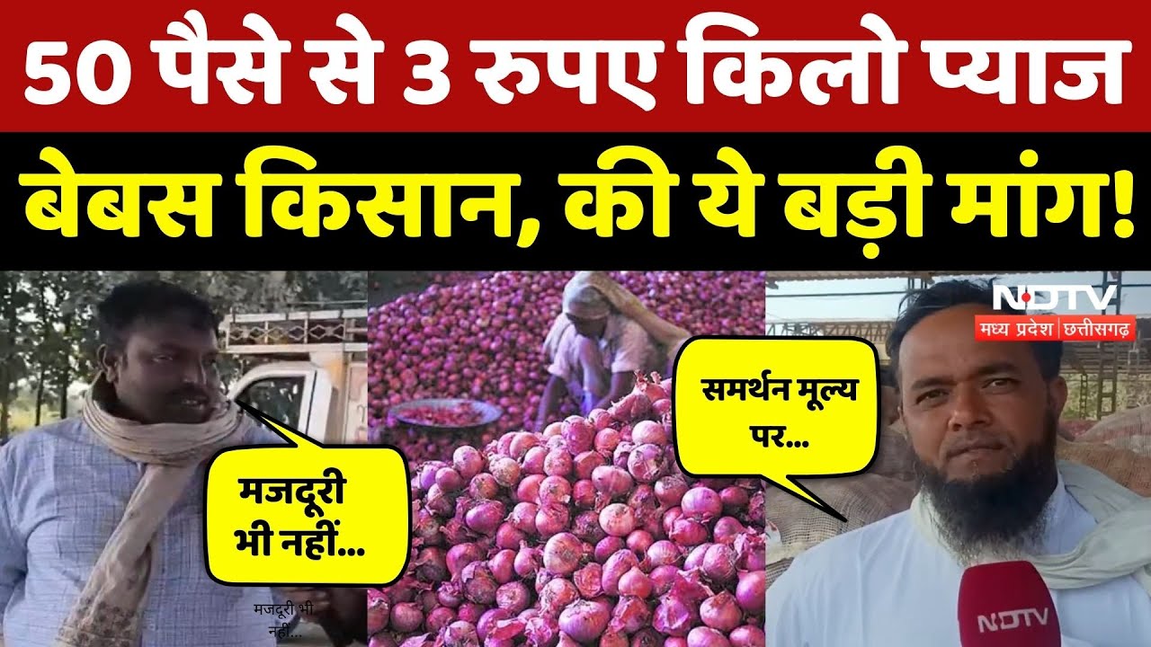Onion Price: 50 पैसे बिक रहे प्याज, बेबस किसानों ने सरकार से लगाई ये गुहार! NDTV MPCG | MP News