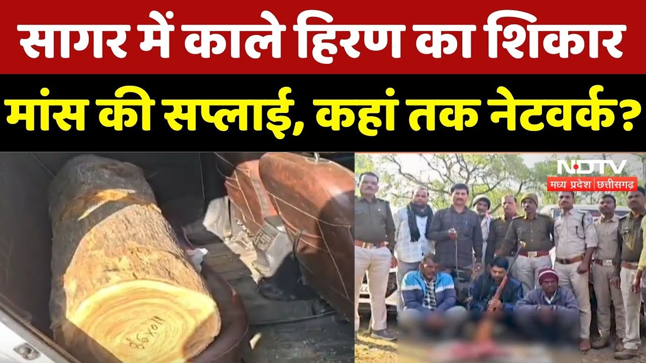 Blackbuck Poaching Case: काले हिरण का शिकार, Doctor Vaseem Arrest, जानें पूरा मामला | Madhya Pradesh