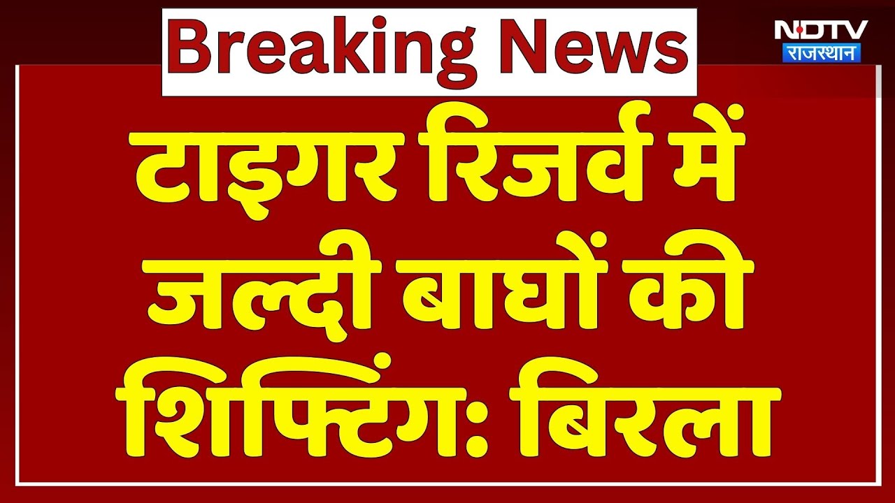 Inter State Tiger Transfer Project: टाइगर रिजर्व में जल्दी बाघों की शिफ्टिंग: Om Birla। Top News