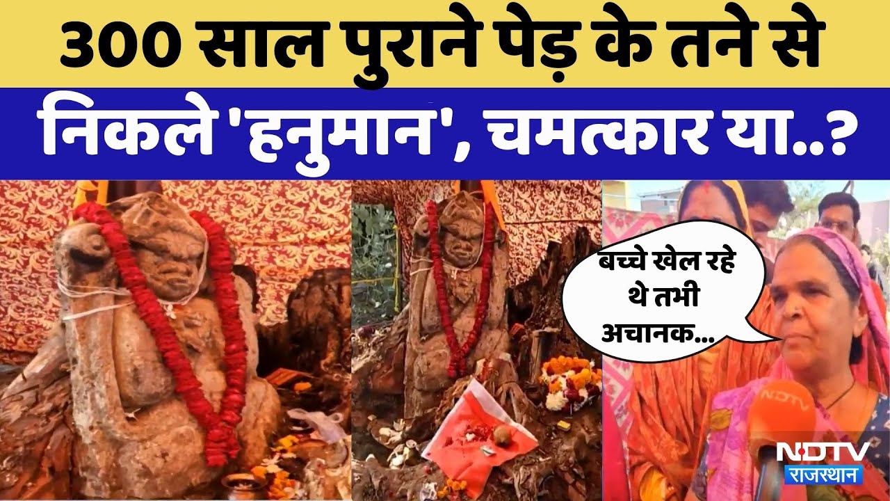 Kota में 300 साल पूराने पेड़ से निकली हनुमान जी प्रतिमा | Video Viral | Rajasthan Top News