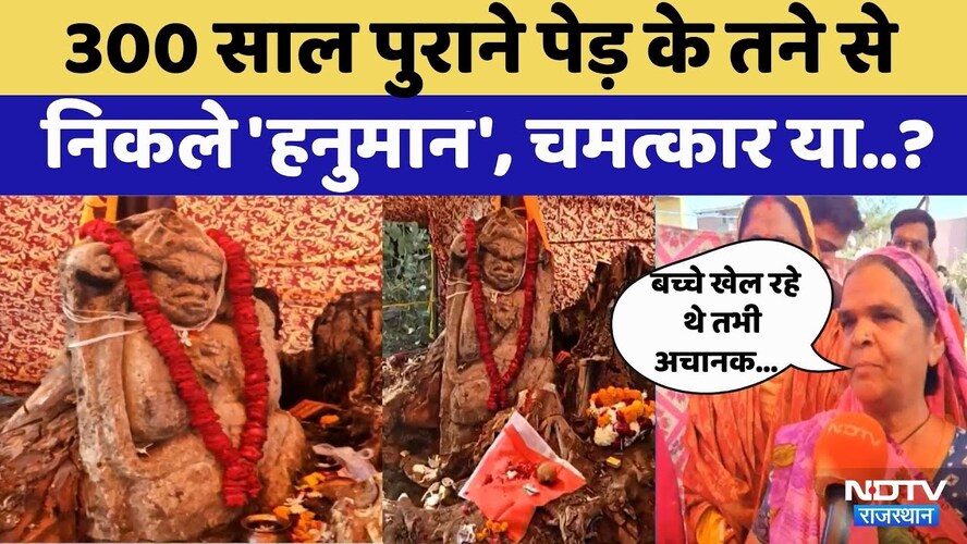 Kota में 300 साल पूराने पेड़ से निकली हनुमान जी प्रतिमा | Video Viral | Rajasthan Top News