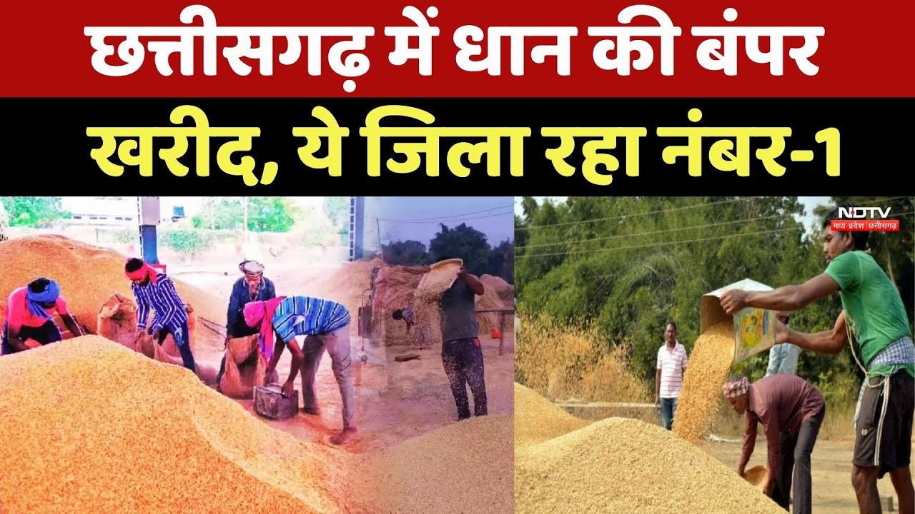 Chhattisgarh Dhan Kharidi: धान की बंपर खरीद, ये जिला रहा नंबर-1