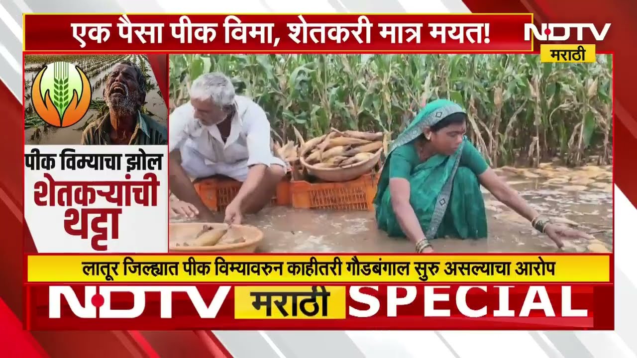 Farmers | पीक विम्यावरुन शेतकऱ्यांची थट्टा! पाहा NDTV मराठीचा सविस्तर Report | NDTV