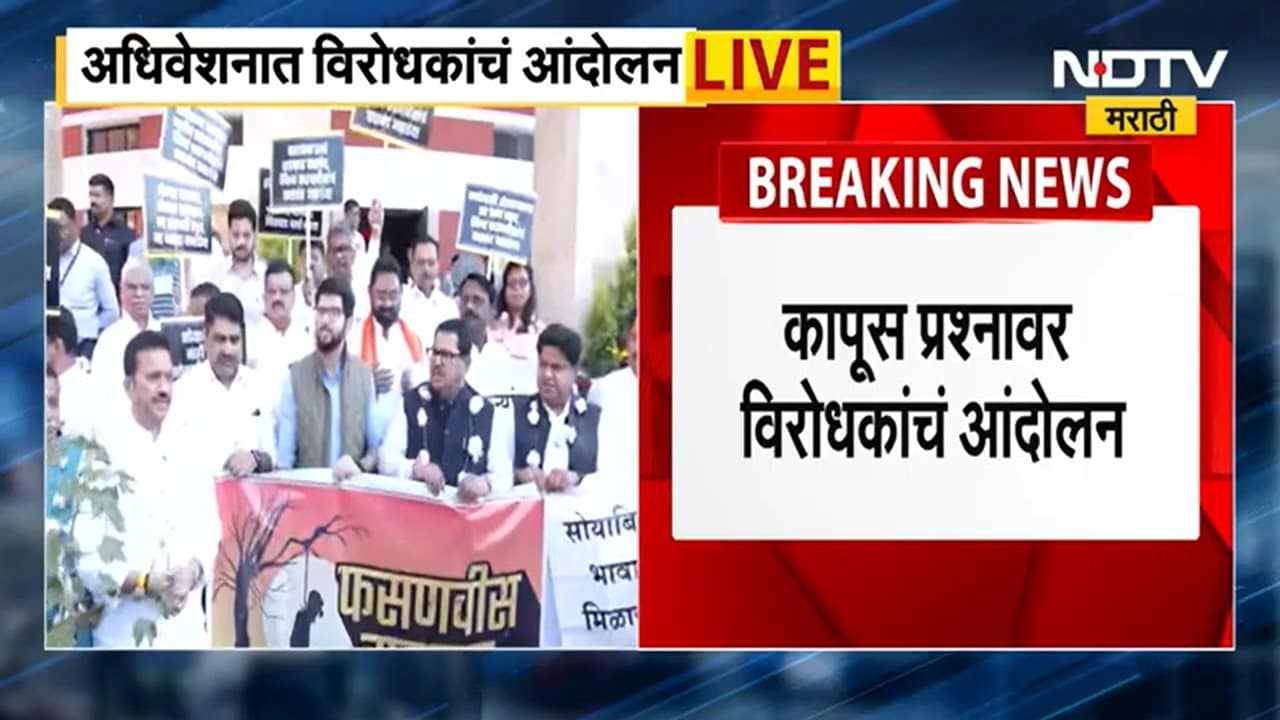 Maharashtra Assembly Winter Sesssion | कापूस प्रश्नावर शेतकऱ्यांचं पायऱ्यांवर आंदोलन | NDTV Marathi