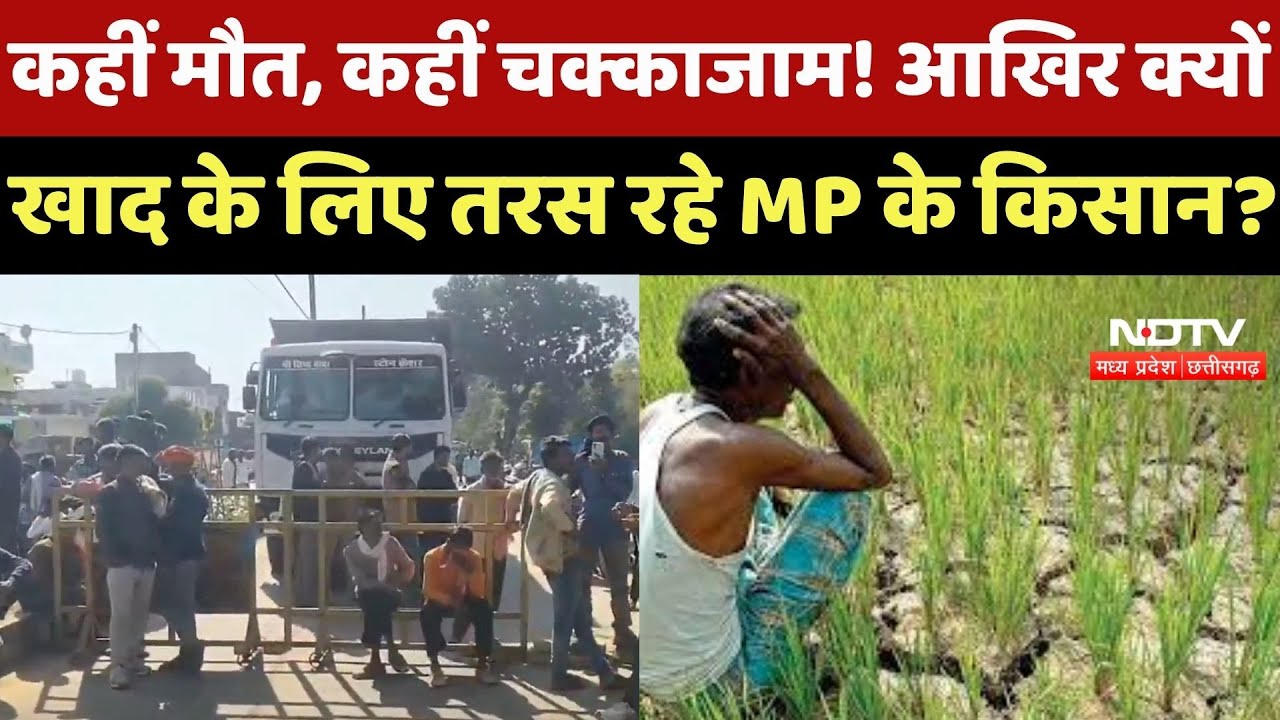 Tikamgarh News : कहीं मौत, कहीं चक्काजाम! आखिर क्यों Fertilizer के लिए तरस रहे MP के Farmer ?