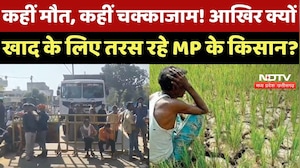 Tikamgarh News : कहीं मौत, कहीं चक्काजाम! आखिर क्यों Fertilizer के लिए तरस रहे MP के Farmer ?