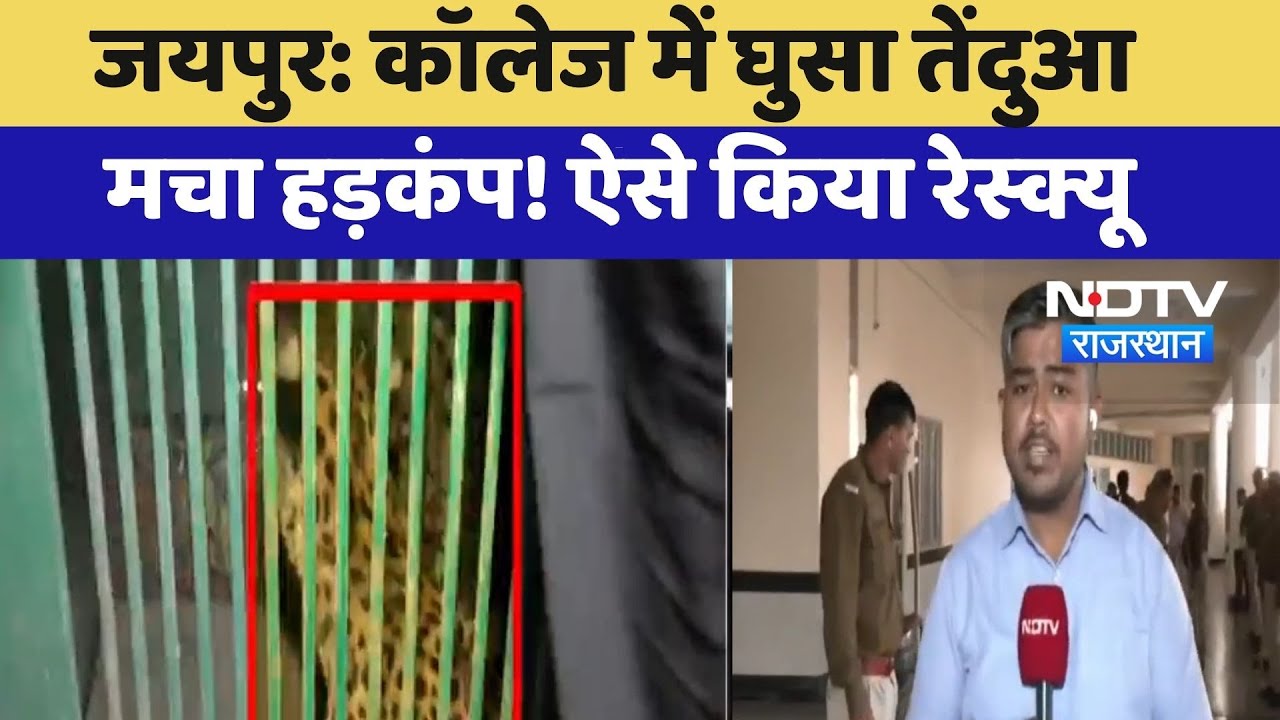 Jaipur News: College में घुसा तेंदुआ  मचा हड़कंप! ऐसे किया Rescue | MNIT