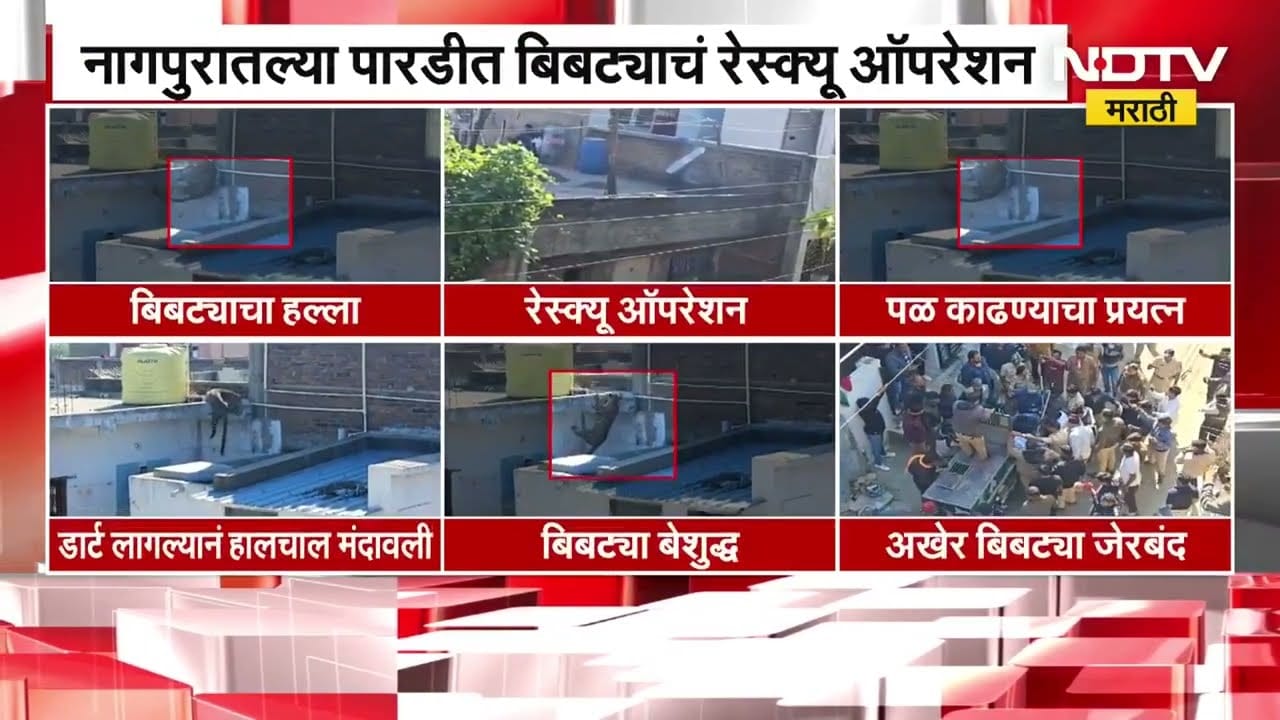 साडेतीन तासांचा थरार, Nagpur च्या पारडीतला Bibtya ला अखेर पकडलं  | NDTV मराठी