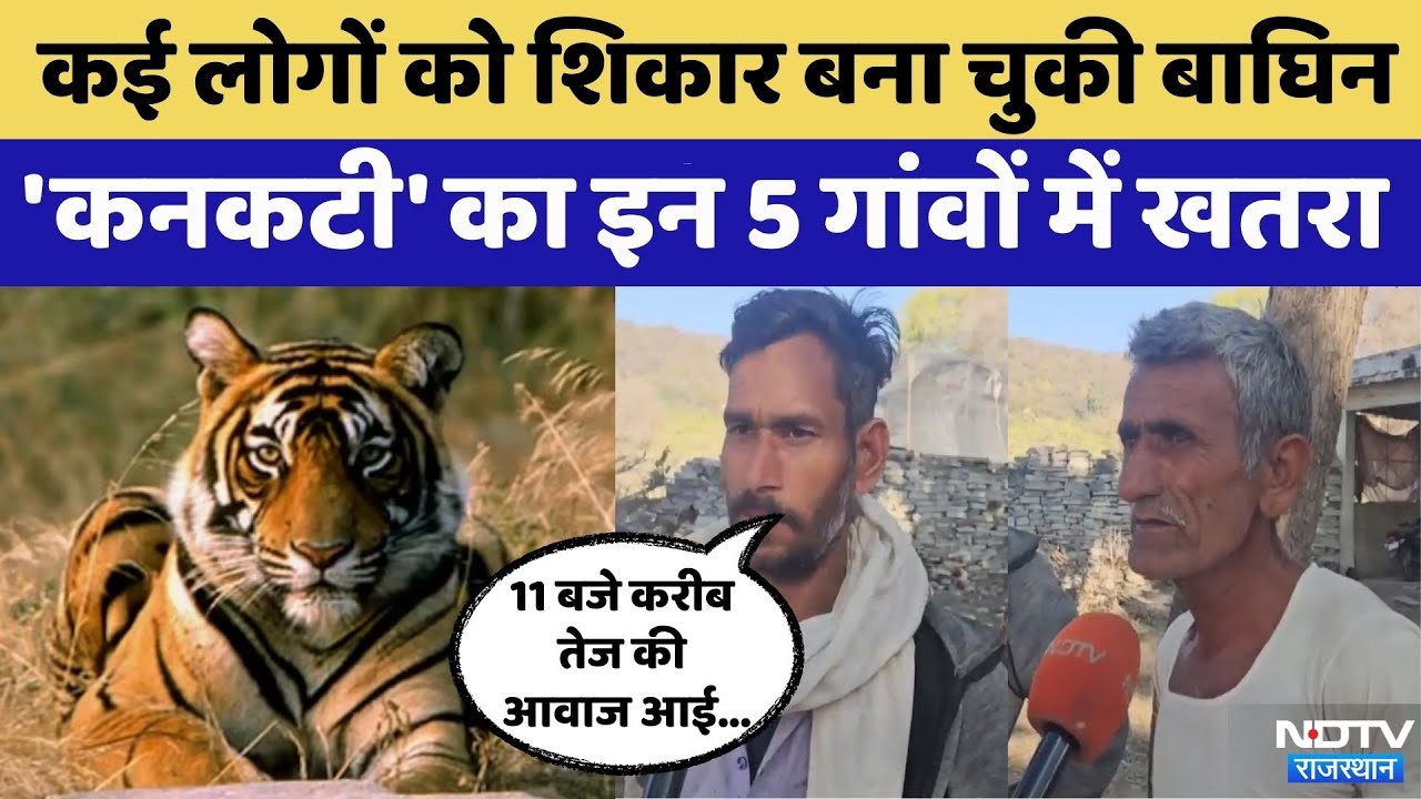 Kota News: Kanakati Tigress का खतरा बड़ा | Rajasthan Top News | Viral Video | Mukundra