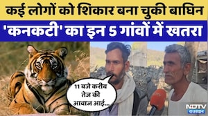 Kota News: Kanakati Tigress का खतरा बड़ा | Rajasthan Top News | Viral Video | Mukundra