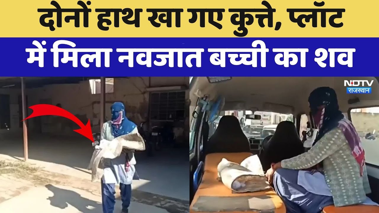 Bharatpur Incident: दोनों हाथ खा गए कुत्ते, खाली प्लॉट में मिला नवजात बच्ची का शव | Breaking News