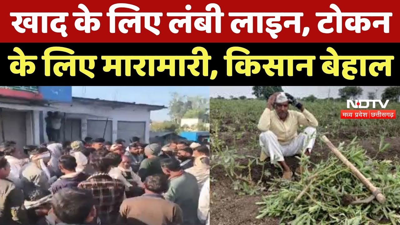 MP News : Fertilizer के लिए मारामारी, Token के लिए Line ! देखिए Farmers का हाल
