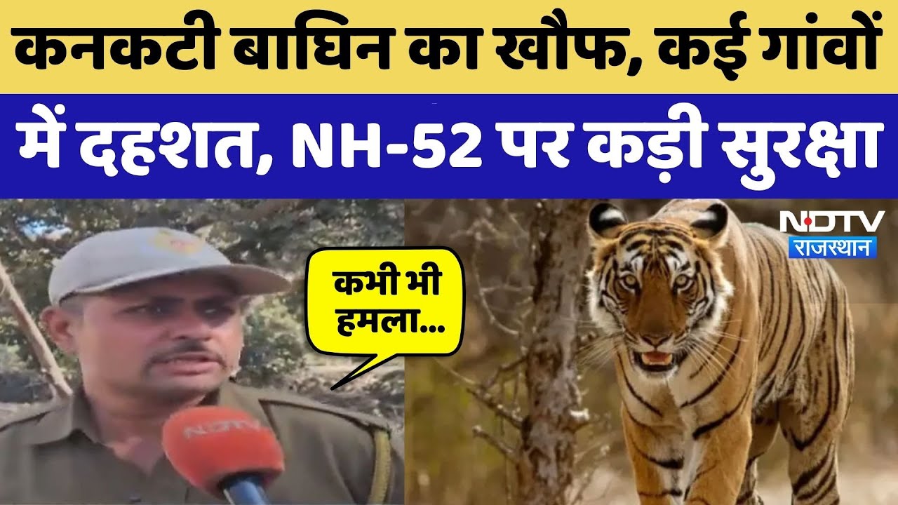 Kota News: Kanakati Tiger का बढ़ा खतरा, कई गांवों में दहशत! Rajasthan Top News | Viral Video