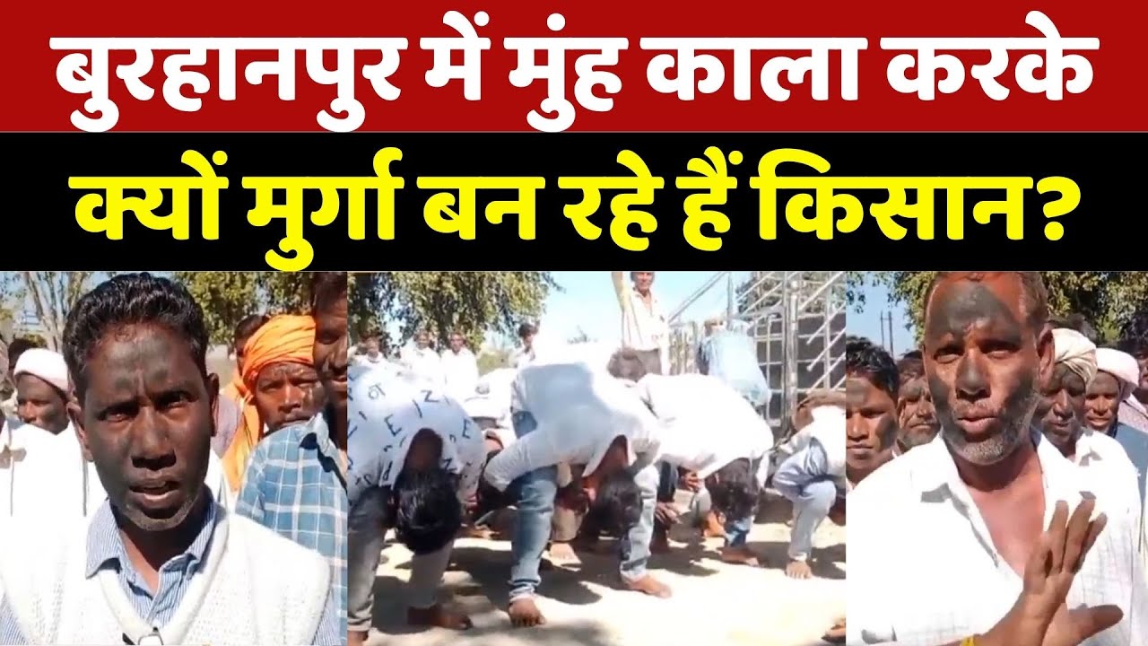 Burhanpur Farmers Protest: मुंह काला करके किसान क्यों बन रहे मुर्गा? | Madhya Pradesh