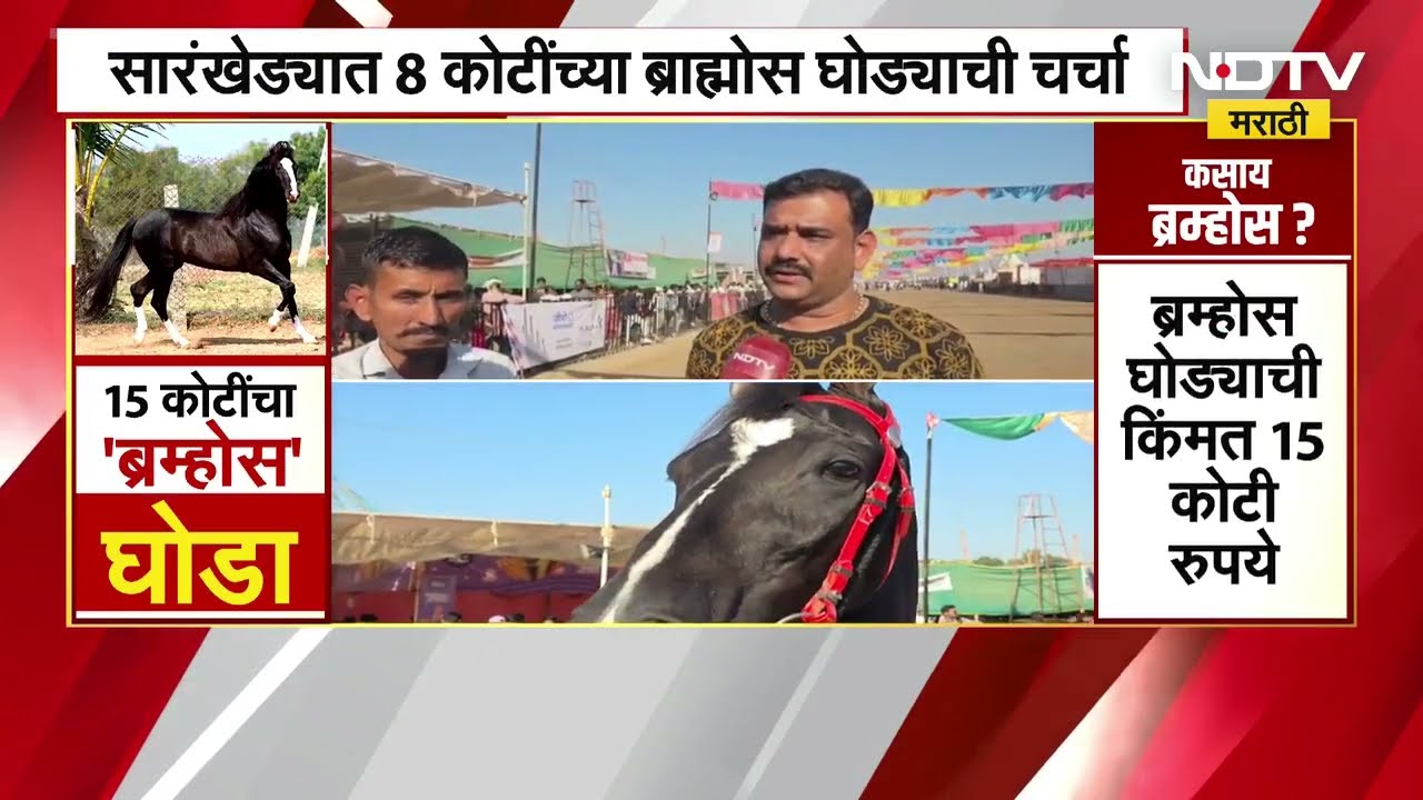 सारंगखेड्यात 15 कोटींच्या ब्राम्होस घोड्याची चर्चा | NDTV मराठी