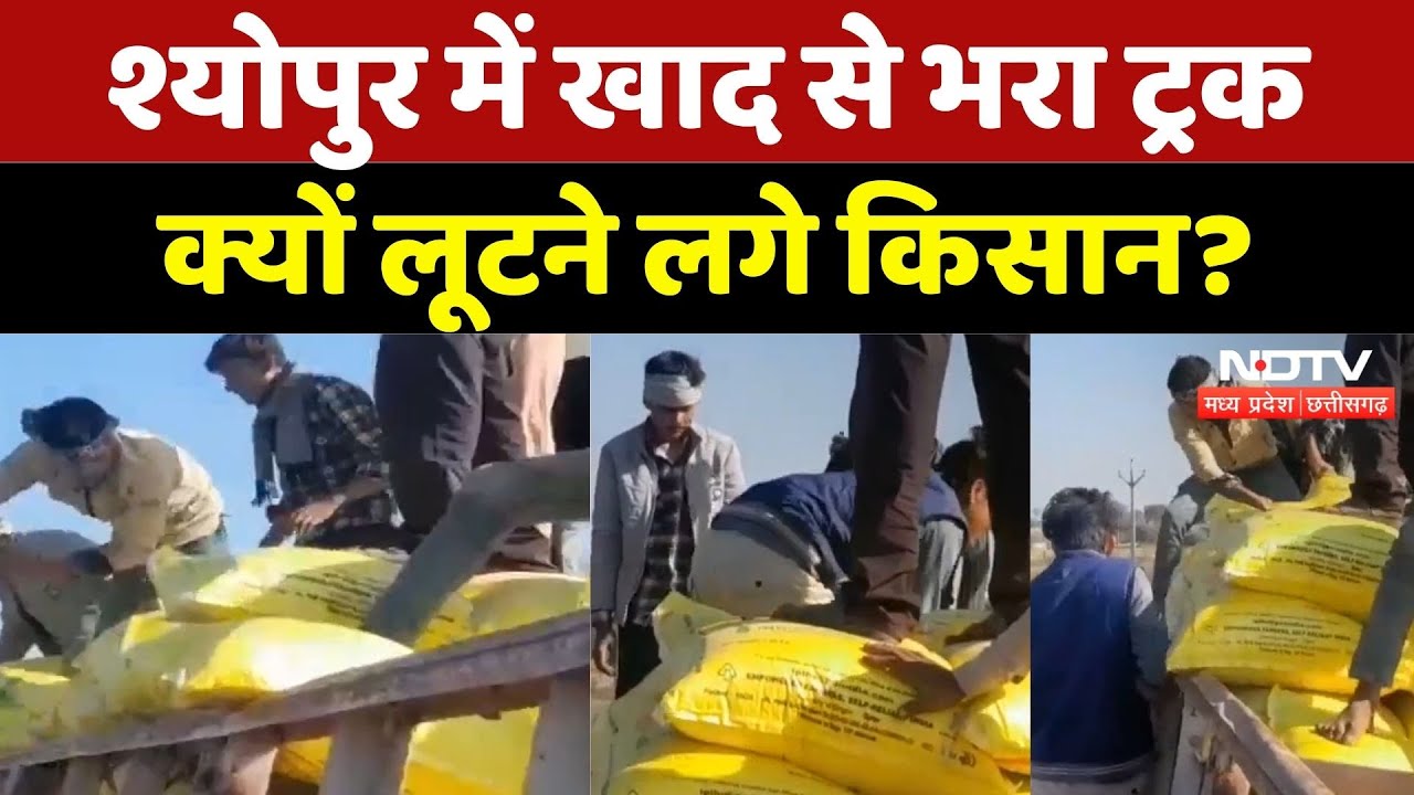 Fertilizer Crisis in MP: किसानों में मची लूट की होड़, खाद से भरे ट्रक को...| Madhya Pradesh