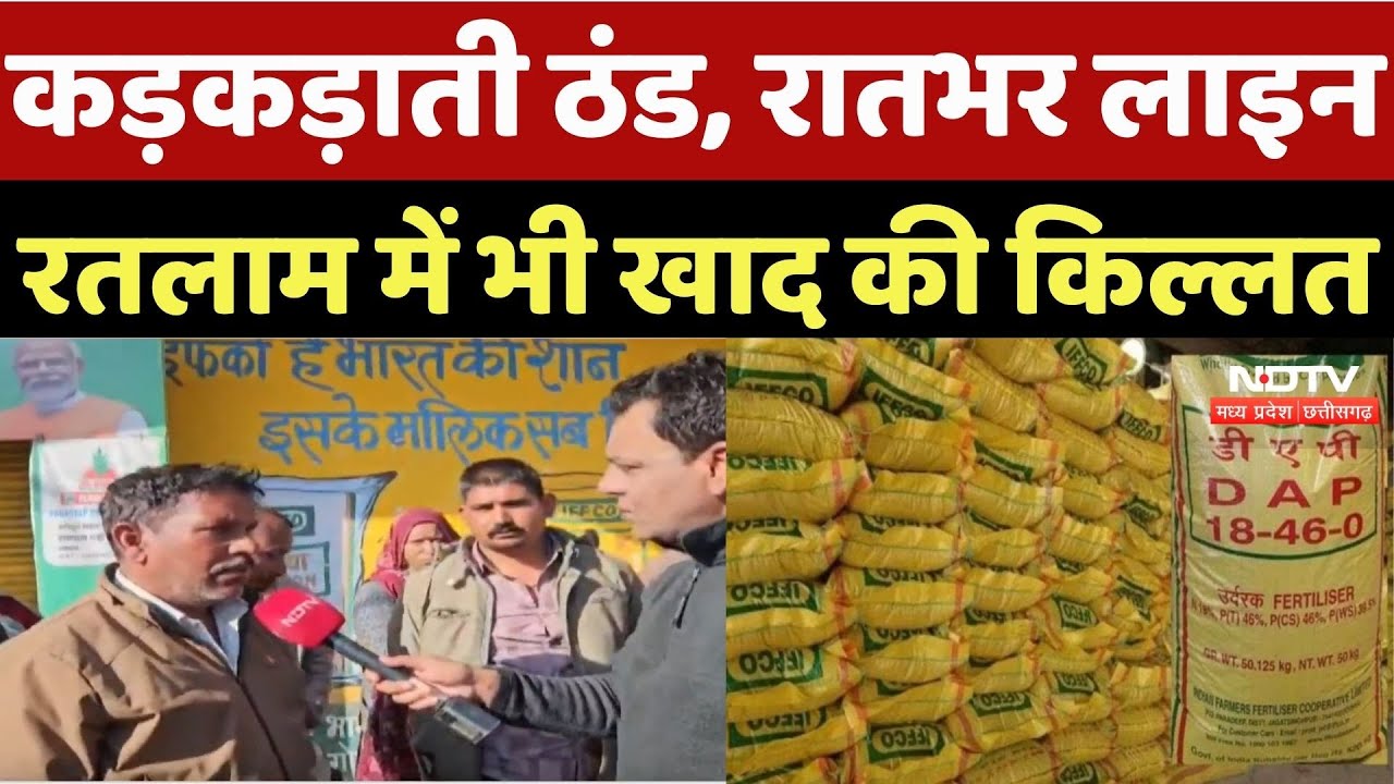 Ratlam Fertilizer Crisis: कड़कड़ाती ठंड, रातभर लाइन, रतलाम में भी खाद की किल्लत | MP News | Latest