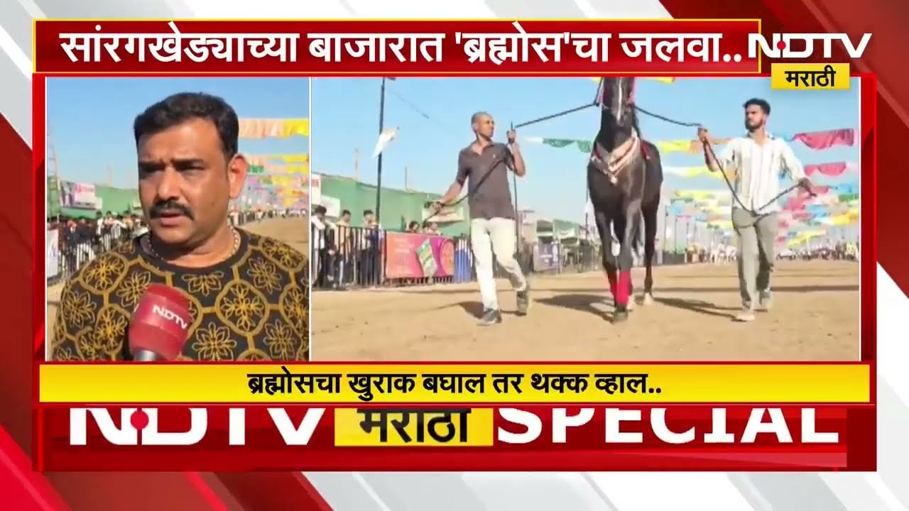 Special Report | मर्सिडीजपेक्षा महागडा घोडा, सारंगखेड्याच्या बाजारात 'ब्रम्होस'चा जलवा!