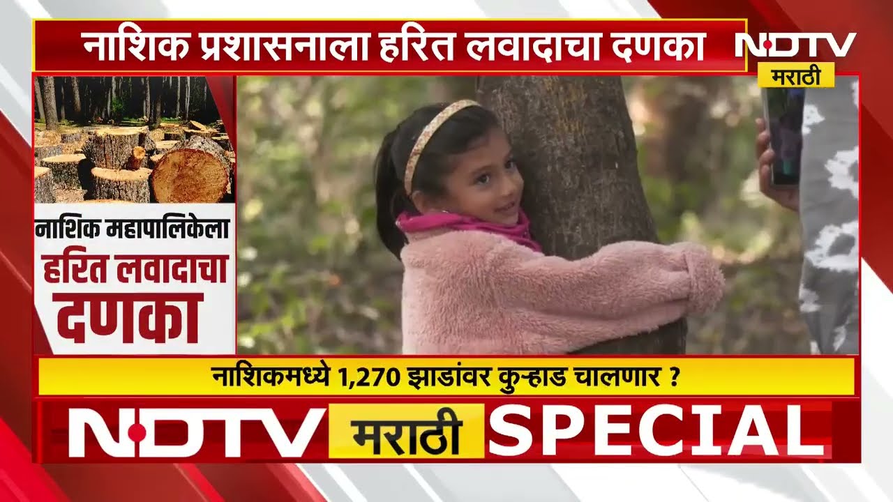 Nashik महापालिकेला हरित लवादाचा दणका, 23 जानेवारीपर्यंत वृक्षतोडीला स्थगिती | NDTV मराठी