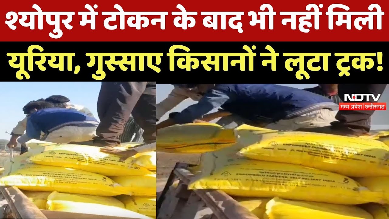 Sheopur में Fertilizer न मिलने पर भारी बवाल, Farmers Truck से लूट ली बोरियां
