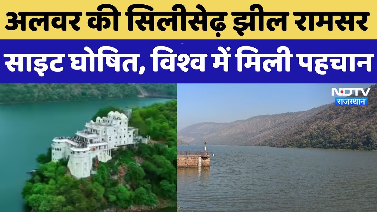 अलवर की सिलीसेढ़ झील रामसर साइट घोषित, विश्व में मिली पहचान। Top News । Rajasthan News