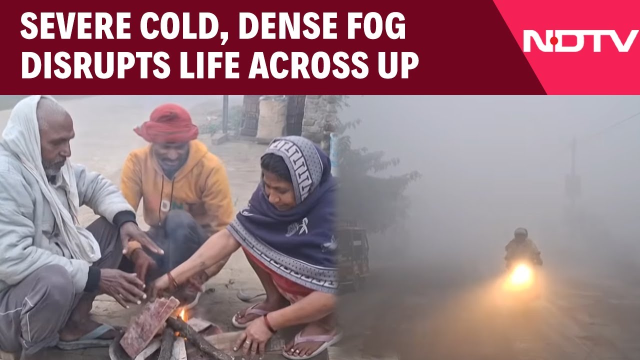 Severe Cold And Dense Fog Disrupts Life Across Uttar Pradesh