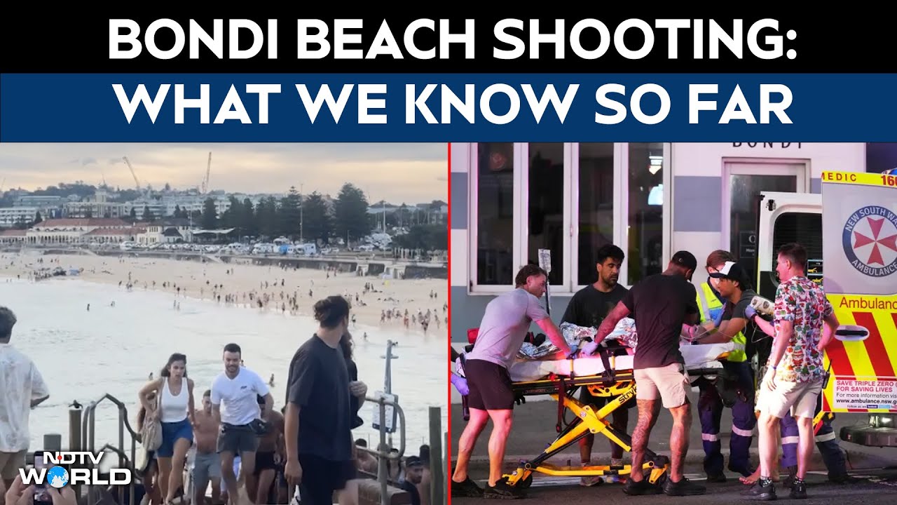 Terror Attack In Australia | What We Know So Far About Mass Shooting At Sydney's Bondi Beach