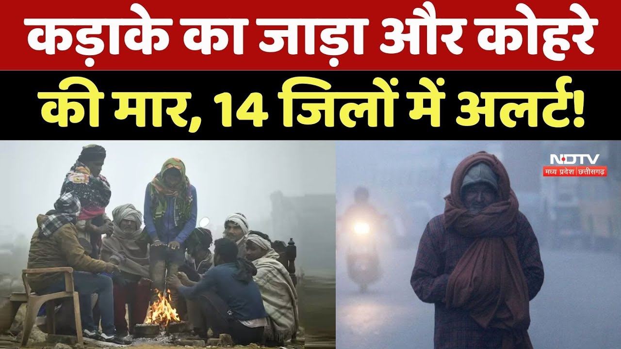 Weather Today: MP और Chhattisgarh में कड़ाके का जाड़ा और कोहरे की मार