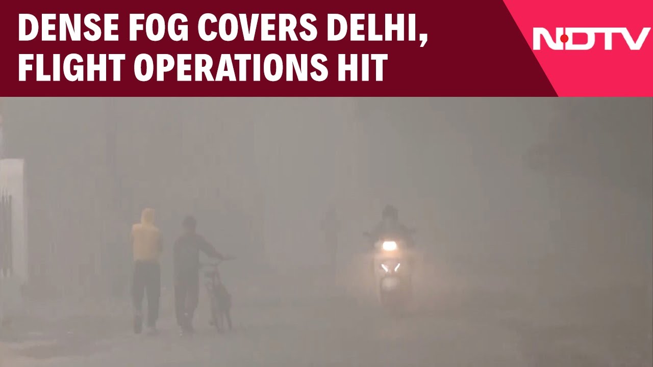 Video: Delhi Fog Today | Delhi-NCR Remains Shrouded In Dense Smog, Air Quality Stays in 'Severe' Category