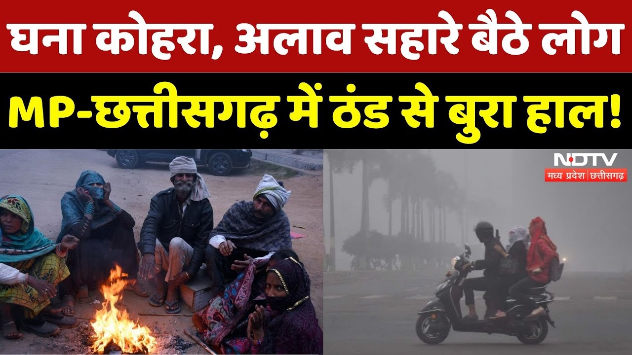 Cold Wave in MP-Chhattisgarh: शीतलहर का अलर्ट, ठंड से परेशान लोग! | Winter | Weather Alert | Latest