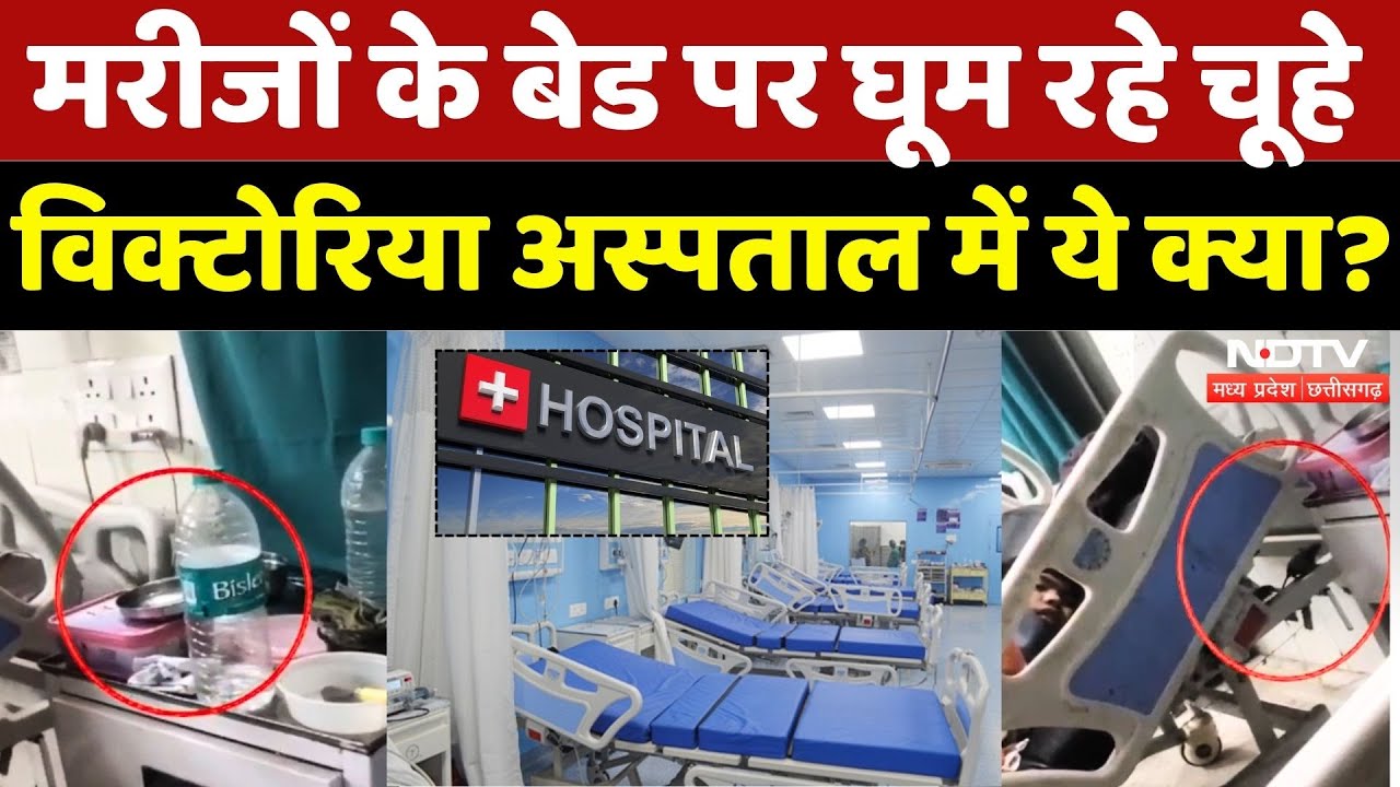 Jabalpur News: मरीजों के बेड पर घूम रहे चूहे, Victoria Hospital में ये क्या? | Madhya Pradesh News