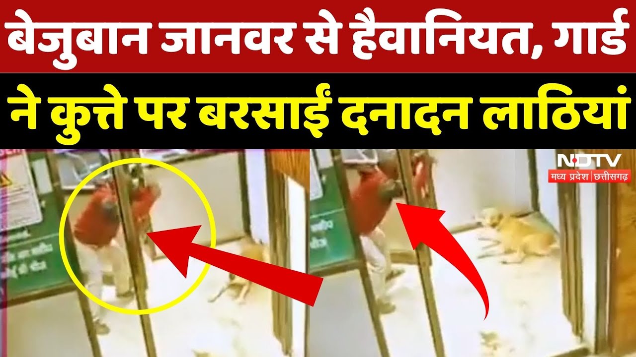 Durg News: गार्ड ने कुत्ते पर बरसाईं दनादन लाठियां... हैवानियत की हद! | Chhattisgarh News | Latest