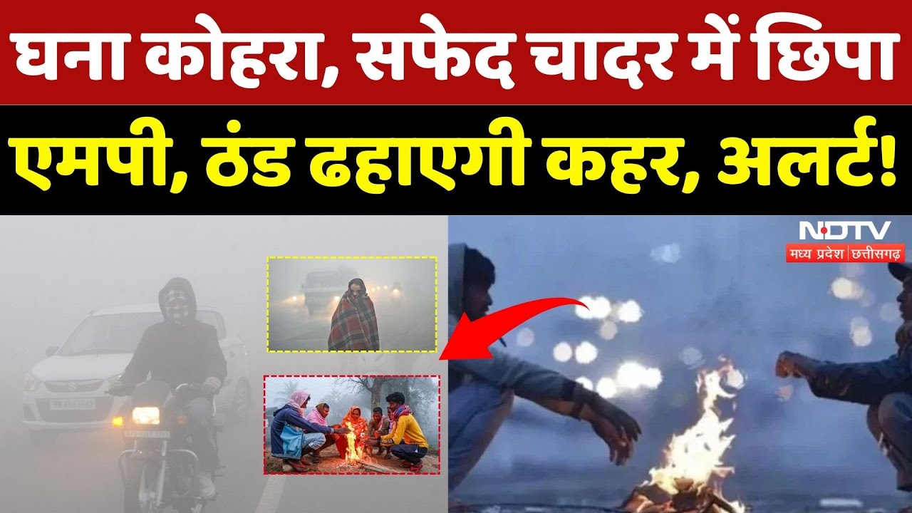 Weather Update: सफेद चादर में छिपा Madhya Pradesh, यहां ठंड ढहाएगी कहर! | Cold Wave | Winter | MPCG