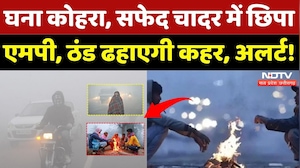 Weather Update: सफेद चादर में छिपा Madhya Pradesh, यहां ठंड ढहाएगी कहर! | Cold Wave | Winter | MPCG