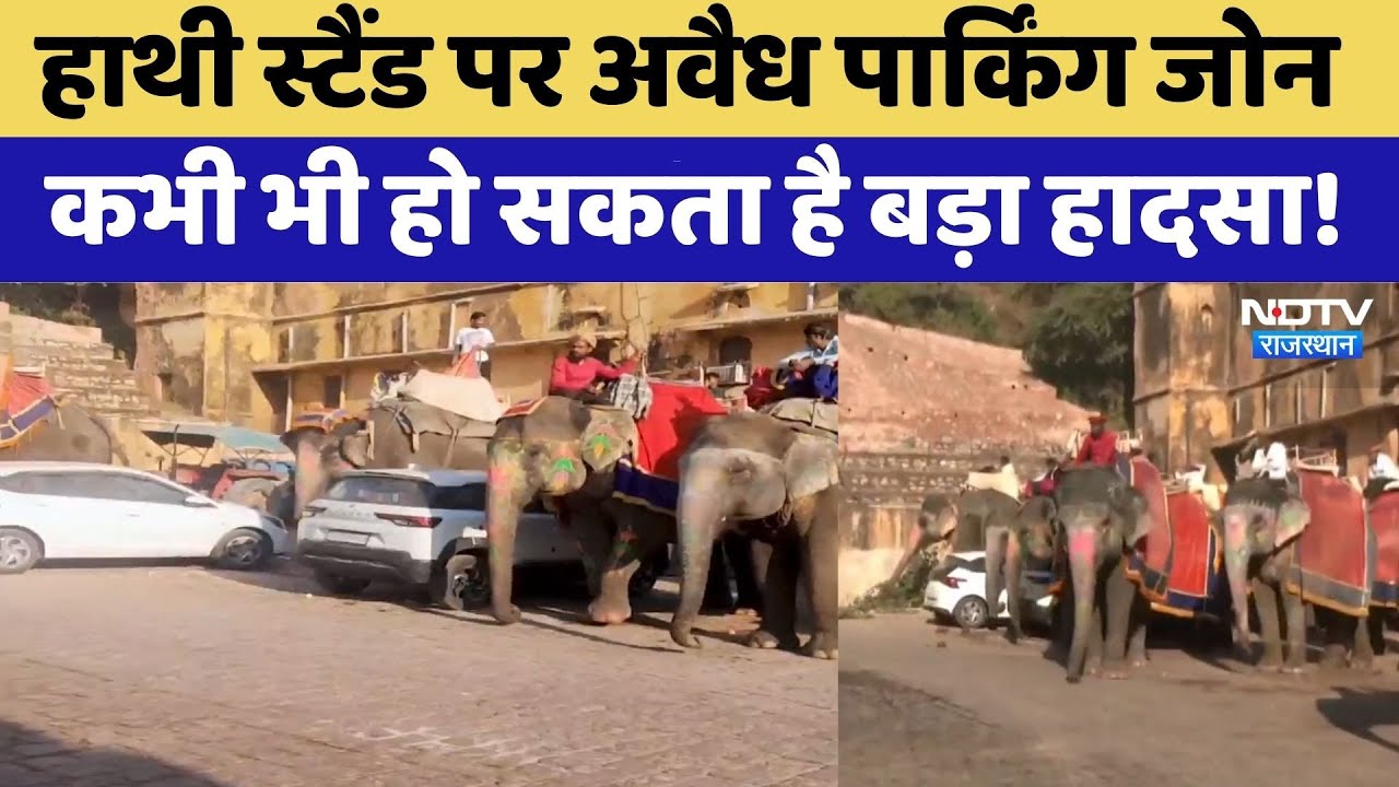 Amer Elephant Stand पर Illegal Parking Zone | Rajasthan Top News | Viral Video