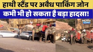 Amer Elephant Stand पर Illegal Parking Zone | Rajasthan Top News | Viral Video