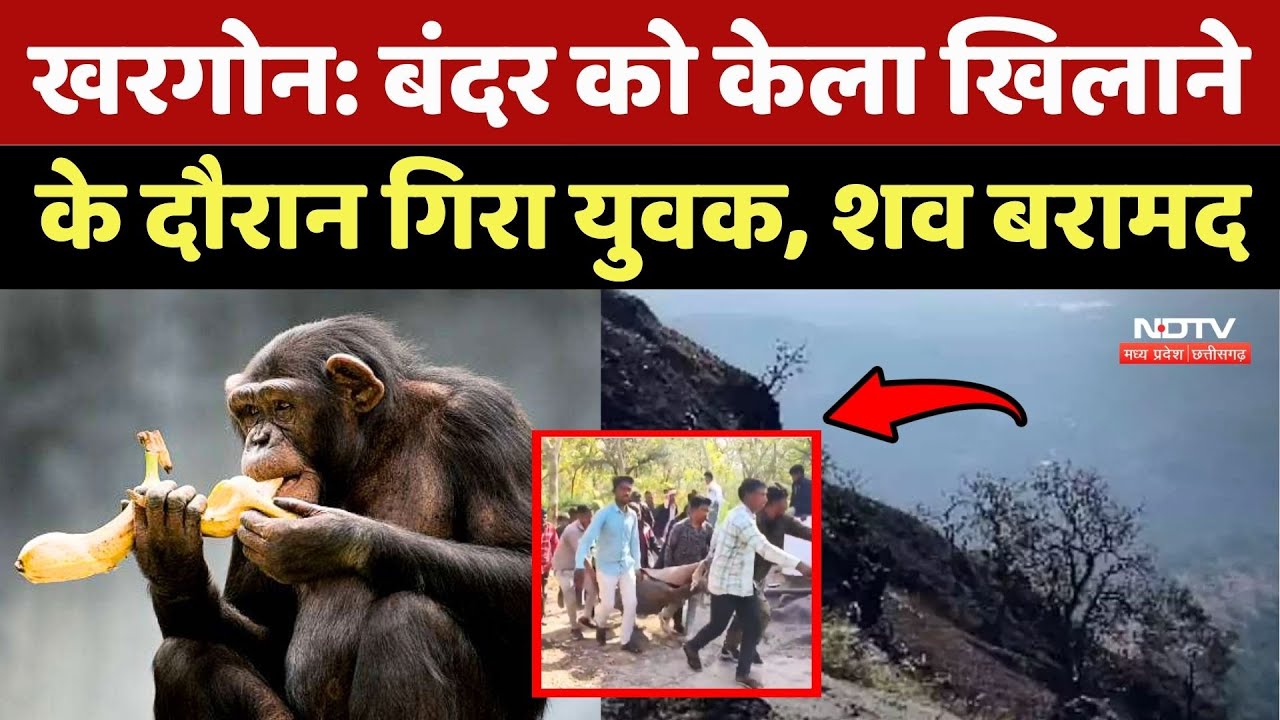 Khargone:  बंदर को केला खिलाने के दौरान गिरा युवक, शव बरामद