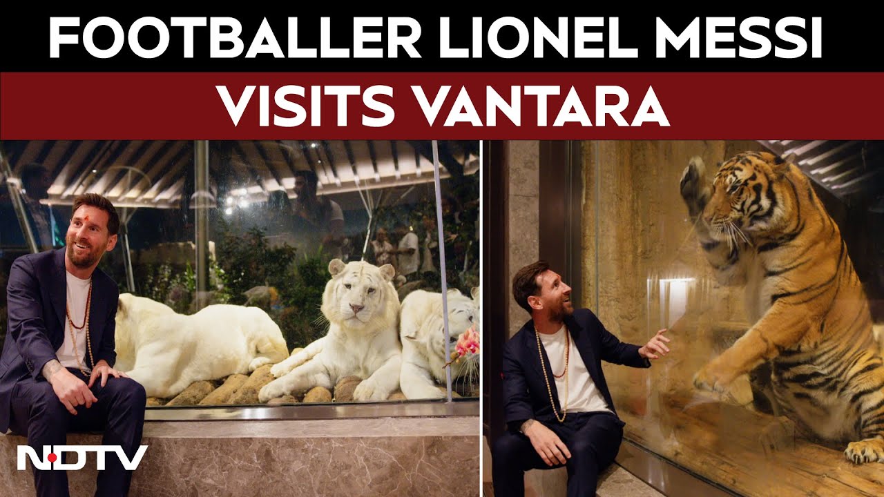 Messi India Tour | Footballer Lionel Messi Visits Vantara, Interacts With Wildlife