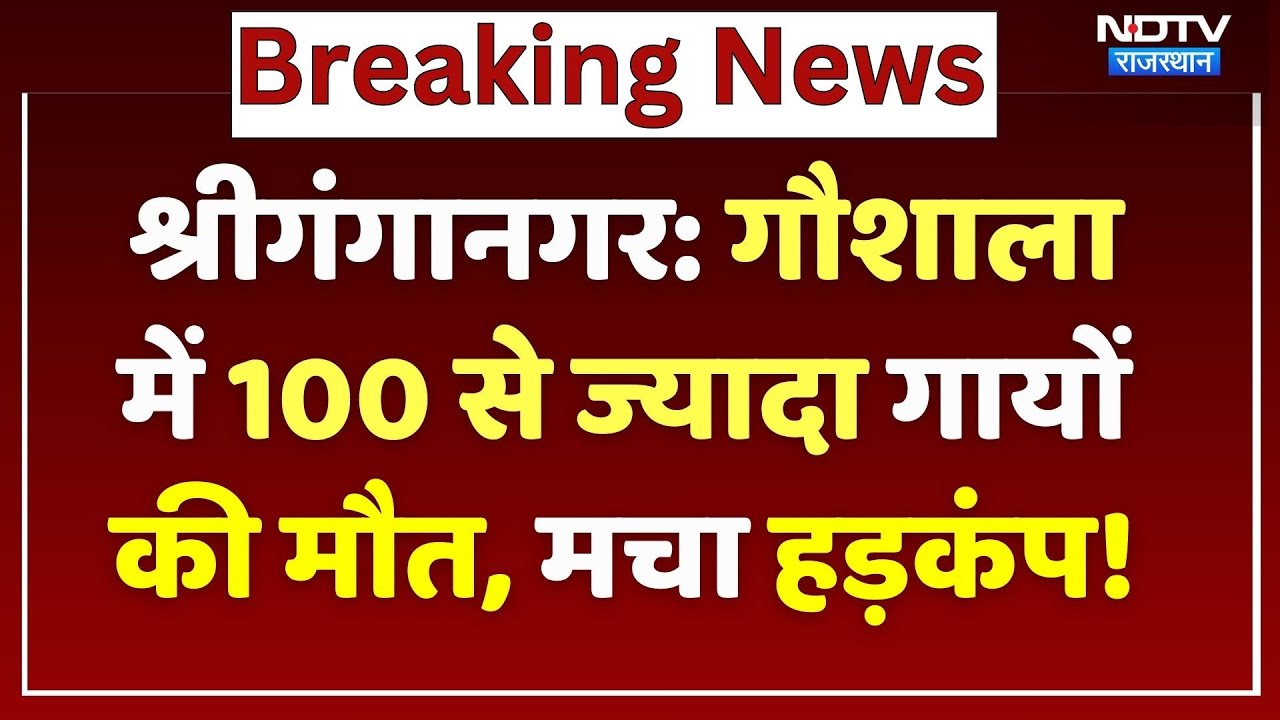 Sri Ganganagar News: गौशाला में 100 से ज्यादा गायों की मौत, लोगों में आक्रोश!
