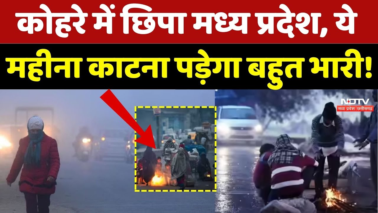 Cold Wave in MP: कड़ाके की ठंड, कोहरा, शीतलहर, ठिठुर रहे लोग! | Weather | Winter | Latest | Top News