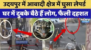 Udaipur News: आबादी क्षेत्र में घुसा leopard, दुबके बैठे लोग | Rajasthan Top News | Viral Video