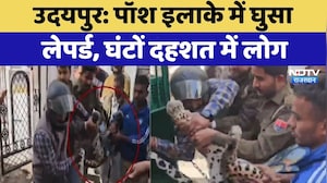 Udaipur: पॉश इलाके में घुसा  लेपर्ड, घंटों दहशत में लोग | Leopard Rescue | Top News