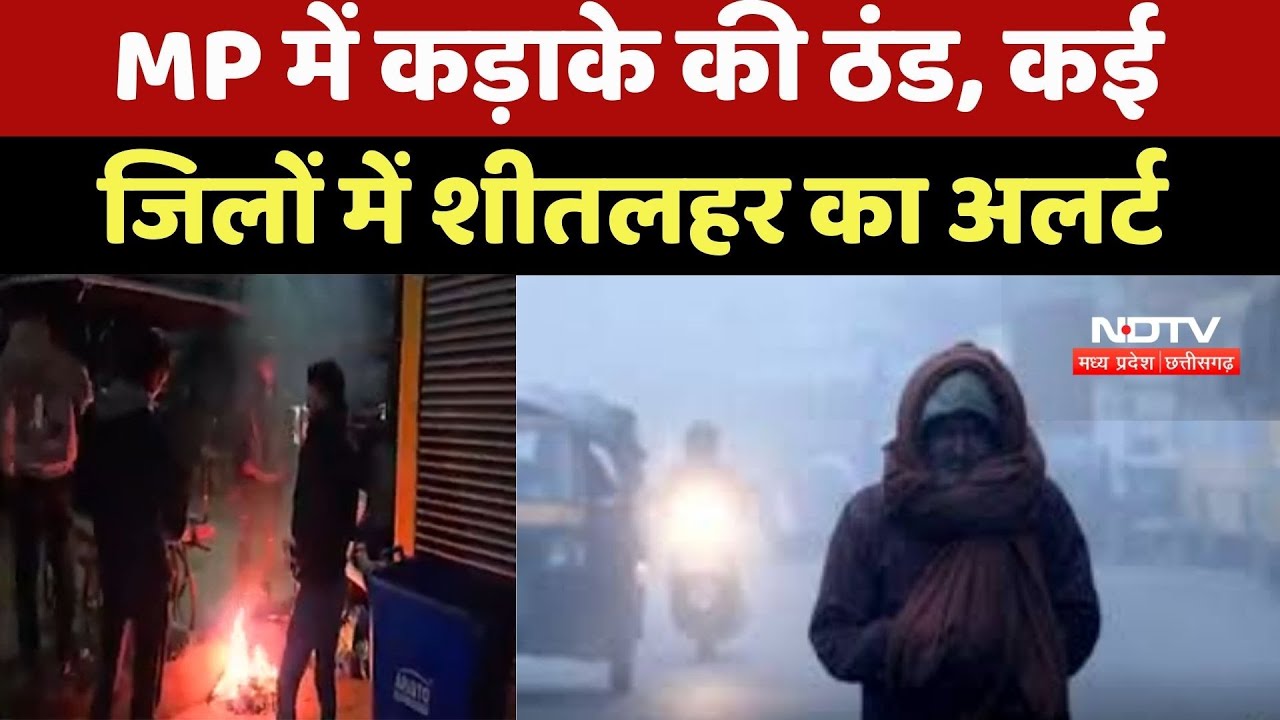 MP Weather News : MP में कड़ाके की ठंड, कई Districts में शीतलहर का Alert