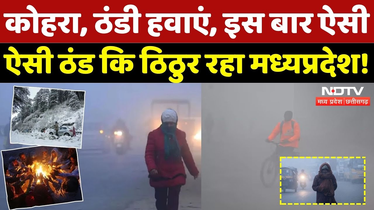 Weather Alert in MP: Cold Wave का Double Attack, सर्द हवाएं, लोग परेशान! | Winter | IMD | Fogg Alert