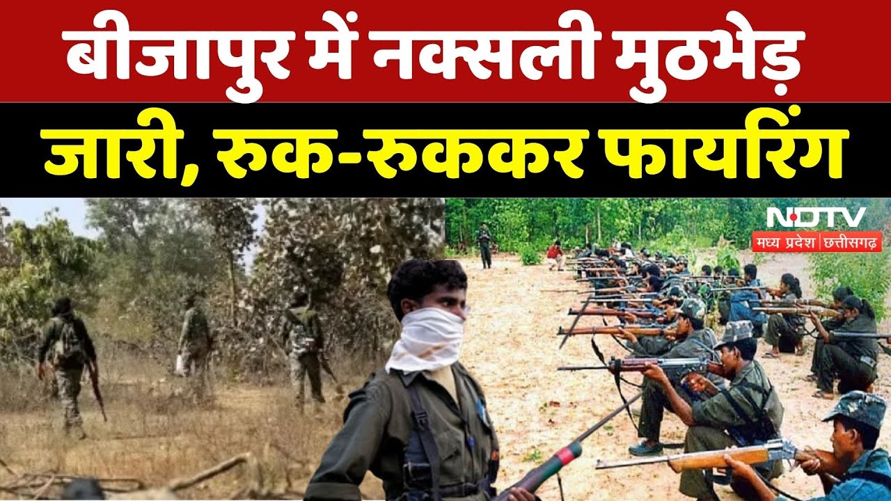 Naxal Encounter: Bijapur में नक्सली मुठभेड़ जारी, रुक-रुककर Firing |Naxal | Naxalism | Chhattisgarh
