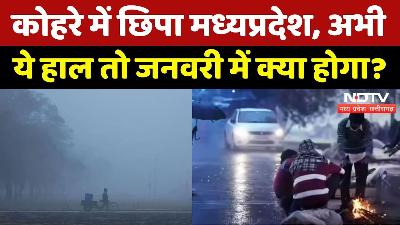 MP Weather: शीतलहर का प्रकोप, Visibility कम, ठंड ने किया जीना मुश्किल! | Cold Wave | Winter | MP