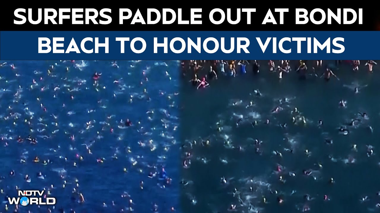 Bondi Beach Shooting | Surfers Paddle Out At Bondi Beach To Honour Shooting Victims