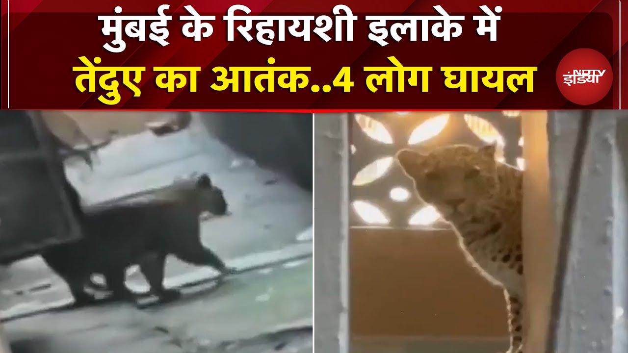 Mumbai: रिहायशी इलाके में घुसा तेंदुआ, लोगों पर किया हमला, 4 घायल | Mira Bhayandar | Panther